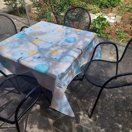 Fani * קורצולה
